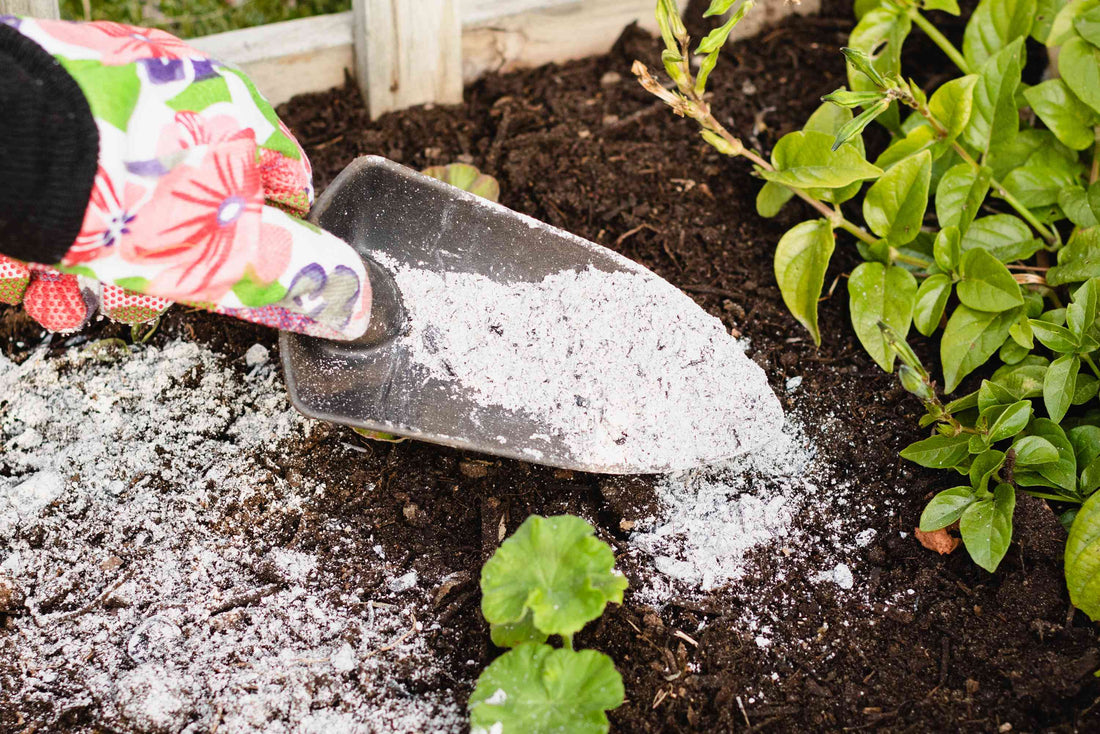 Potash vs Biochar: What’s the Difference and Which is Better for Your Garden?
