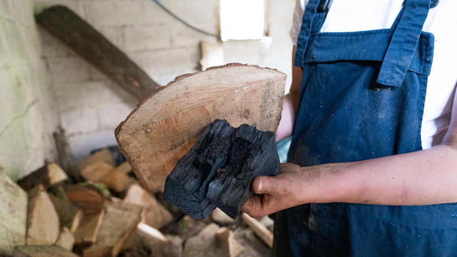Healthy soil with biochar