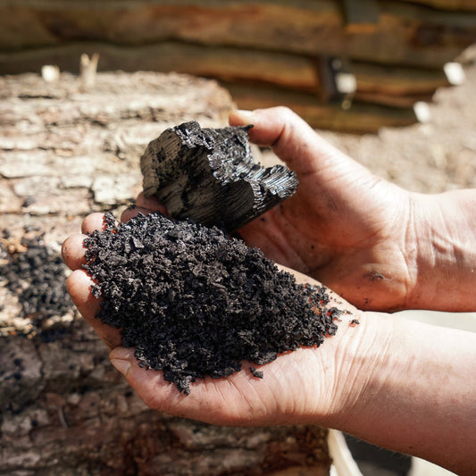 Hand holding a small pile of dark material against a wooden background