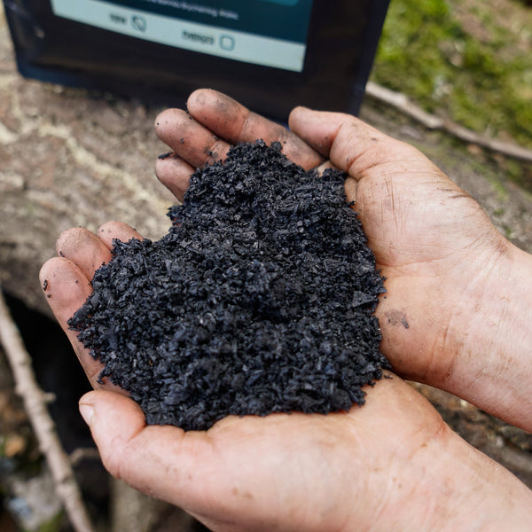 Charged Biochar