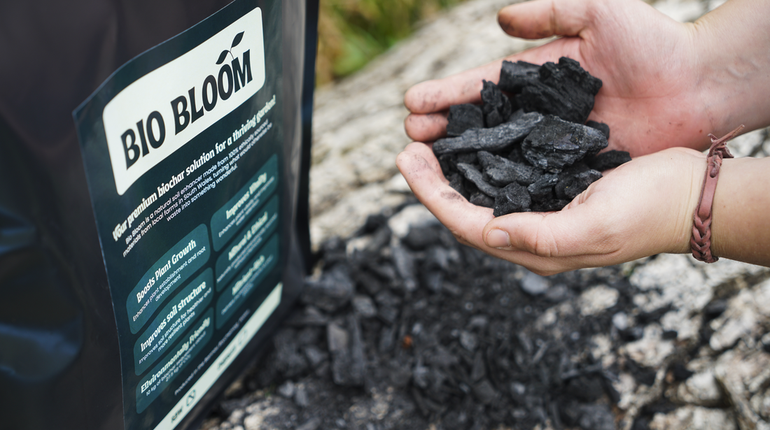 Sustainably Sourced & Naturally Produced Biochar – Bio Bloom