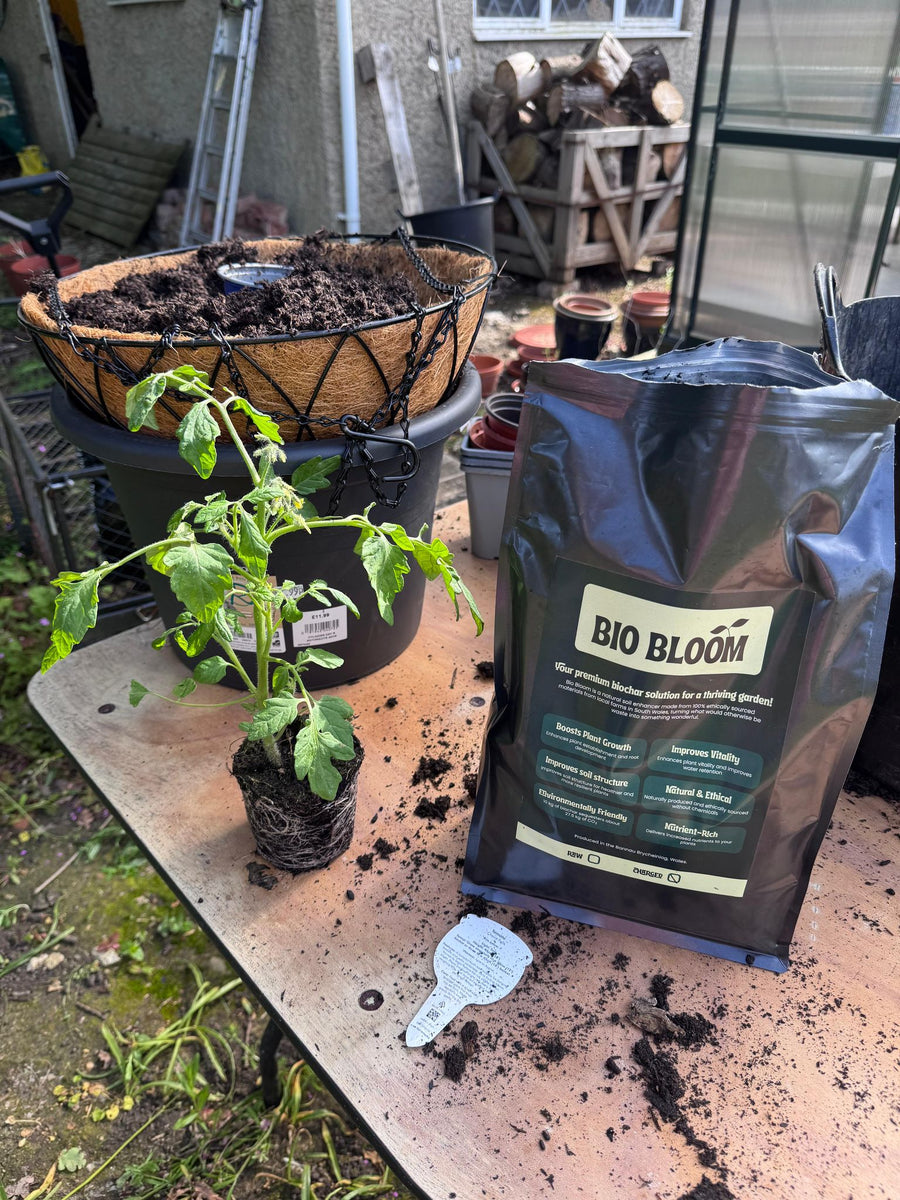 Growing garden bed